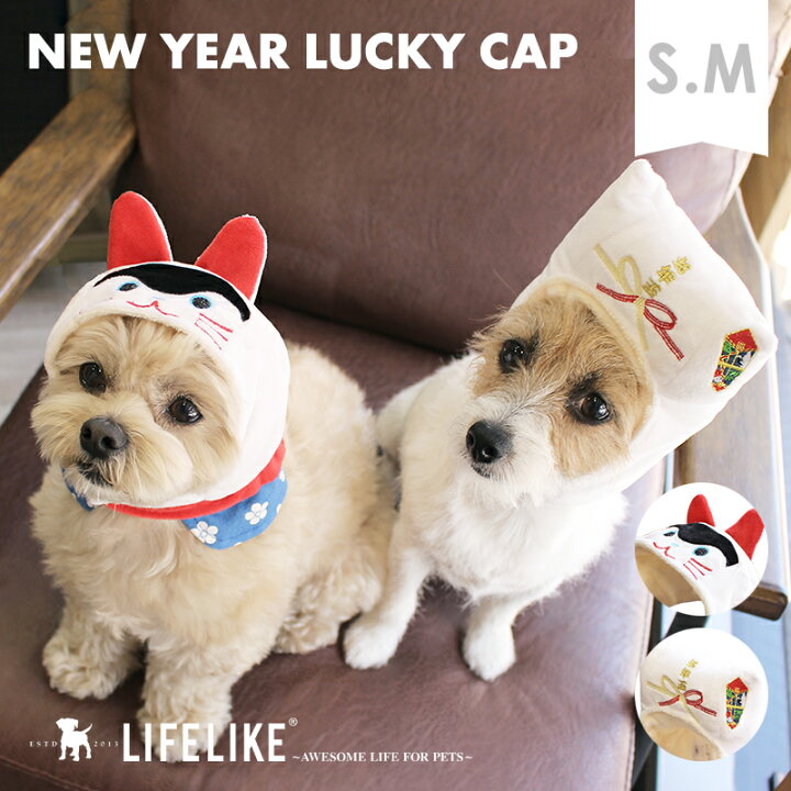 楽天市場 お正月ラッキーキャップ 正月 被り物 犬 猫 かぶりもの 帽子 小型犬 中型犬 Lifelike S M 秋冬 冬用 秋 冬 あったか ダックス チワワ プードル キャップ お正月 新年 年末年始 元旦 イベント ライフライク楽天市場店