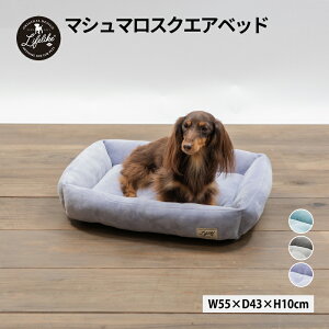 犬 ベッド 夏の人気商品 通販 価格比較 価格 Com 犬 ベッド 夏の人気商品 通販 価格比較 価格 Com
