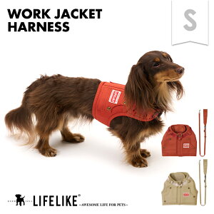 y[NWPbgn[lXSz n[lX [ht ^ ^  L t t ėp  H~ ~p H ~ [L[ ` |jA v[h ps[    ̕ LIFELIKE mԕi