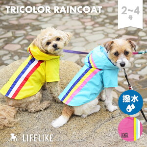 ygR[CR[g 2-4z L CR[g Jbp ^ ^ TCY t t ėp  H~ ~p H ~   _bNX ` v[h J CEFA  ̕ 