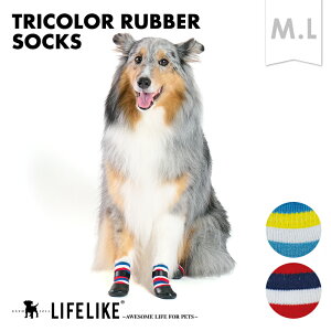 ygR [o[\bNX M Lz C \bNX ^ LIFELIKE t t ėp  M L p ~  ی  PK p Up ЊQ hCu o S fUC V yb