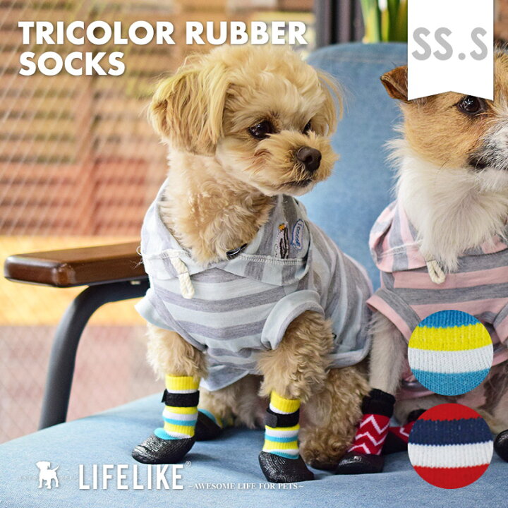 楽天市場 Lifelike トリコロールラバーソックス Ss S 犬の靴下 ４足セット 犬用靴下 犬用ソックス 犬用 猫 犬 フローリング 滑り止め 滑らない靴下 滑り防止 靴下 ソックス 肉球保護 肉球怪我 怪我 足舐め防止靴下 足舐め防止 なめ防止 冷え対策 室内 散歩 老犬 ドッグ