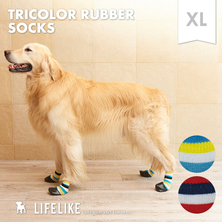 楽天市場 トリコロールラバーソックス Xl 犬 靴下 ソックス 大型犬 Lifelike Xl 春夏 春 夏用 夏 秋冬 冬用 秋 冬 ゴールデン ラブラドール 犬用 滑り止め 肉球 保護 怪我 ケガ 介護用 散歩用 災害時 返品不可 サイズ交換可 ライフライク楽天市場店
