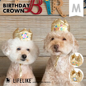 【バースデークラウン M】被り物 犬 猫 かぶりもの 帽子 小型犬 中型犬 LIFELIKE ダックス プードル 柴犬 キャバリア ビーグル シュナウザー バースデー イベント パーティグッズ インスタ映え 誕生日［返品不可・サイズ交換可］