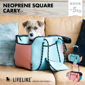 ylIv[XNGAL[zybgL[ L[obO ybgObY ^ g[g v[h `  L ]ԗp ԗp dԗp ЊQ ʉ@ o Oo LIFELIKE