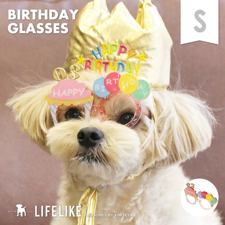 楽天市場 Black Friday限定p10倍 バースデーメガネ S 犬 猫 サングラス 眼鏡 メガネ バースデー 誕生日 グッズ 犬 犬用 ドッグ ペット 小型犬 中型犬 ダックス チワワ プードル かわいい ユニーク ファッション お洒落 写真 撮影用 ギフト 誕生日プレゼント