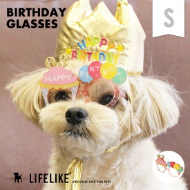 ＼P10倍★マラソン／【バースデーメガネ S】 犬 猫 サングラス 眼鏡 メガネ バースデー 誕生日 グッズ 犬用サングラス 犬 犬用 ドッグ ペット 小型犬 中型犬 撮影 小物 ダックス チワワ プードル かわいい ユニーク ファッション お洒落 写真 撮影用