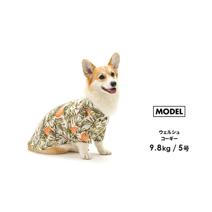 楽天市場 パインストレッチアロハ1 5号2l 3l ドッグウェア シャツ アロハ 小型犬 中型犬 ペット 洋服 ペット用品 犬 グッズ 春夏 春服 夏服 春用 夏用 春夏用 お散歩 お出かけ おしゃれ かわいい 抜け毛防止 Lifelike 返品不可 サイズ交換可 ライフライク楽天