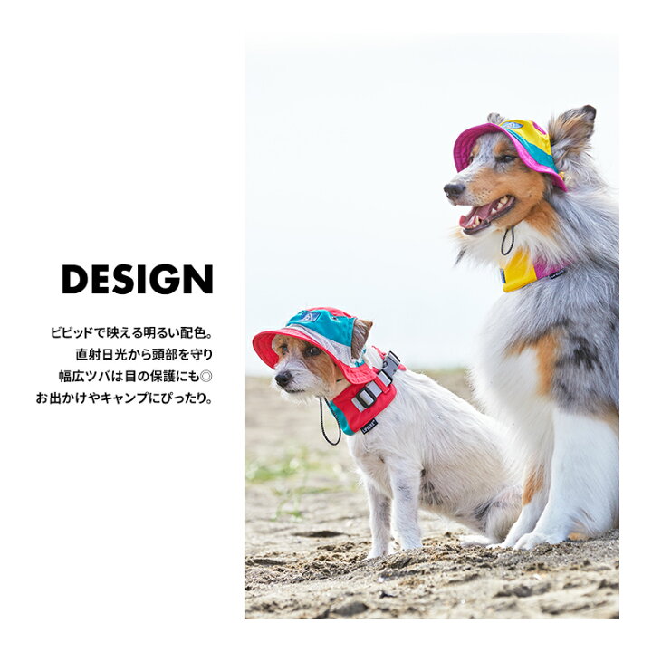 楽天市場 アウトドアスタイルハットl 被り物 犬 猫 かぶりもの 帽子 中型犬 大型犬 L 春夏 アウトドア ゴールデン ラブラドール キャップ 散歩 お出かけ 日よけ ペットグッズ ペット グッズ 犬用 猫用 プレゼント かわいい 返品不可 サイズ交換可 ライフライク