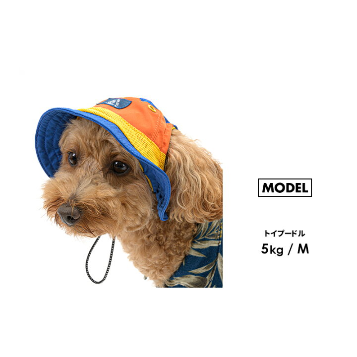 楽天市場 アウトドアスタイルハットl 完売 再入荷なし 被り物 犬 猫 かぶりもの 帽子 中型犬 大型犬 L 春夏 アウトドア ゴールデン ラブラドール キャップ 散歩 お出かけ 日よけ ペットグッズ ペット グッズ 犬用 猫用 プレゼント かわいい 返品不可 サイズ交換可