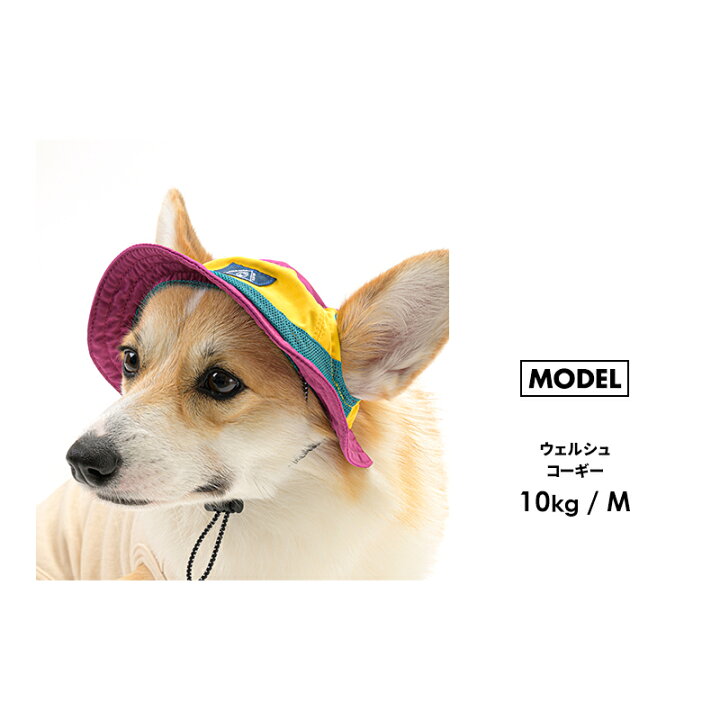 楽天市場 期間限定p10倍 アウトドアスタイルハットsm 完売 再入荷なし 被り物 犬 猫 かぶりもの 帽子 小型犬 中型犬 S M 春夏 アウトドア ダックス チワワ プードル キャップ 散歩 お出かけ 日よけ ペットグッズ ペット グッズ 犬用 猫用 プレゼント かわいい