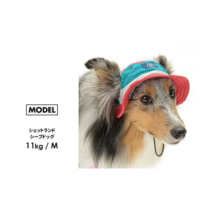 楽天市場 Black Friday限定p10倍 アウトドアスタイルハットl 完売 再入荷なし 被り物 犬 猫 かぶりもの 帽子 中型犬 大型犬 L 春夏 アウトドア ゴールデン ラブラドール キャップ 散歩 お出かけ 日よけ ペットグッズ ペット グッズ 犬用 猫用 プレゼント 楽天市場 Black Friday限定p10倍 アウトドアスタイルハットl 完売 再入荷なし 被り物 犬 猫 かぶりもの 帽子 中型犬 大型犬 L 春夏 アウトドア ゴールデン ラブラドール キャップ 散歩 お出かけ 日よけ ペットグッズ ペット グッズ 犬用 猫用 プレゼント
