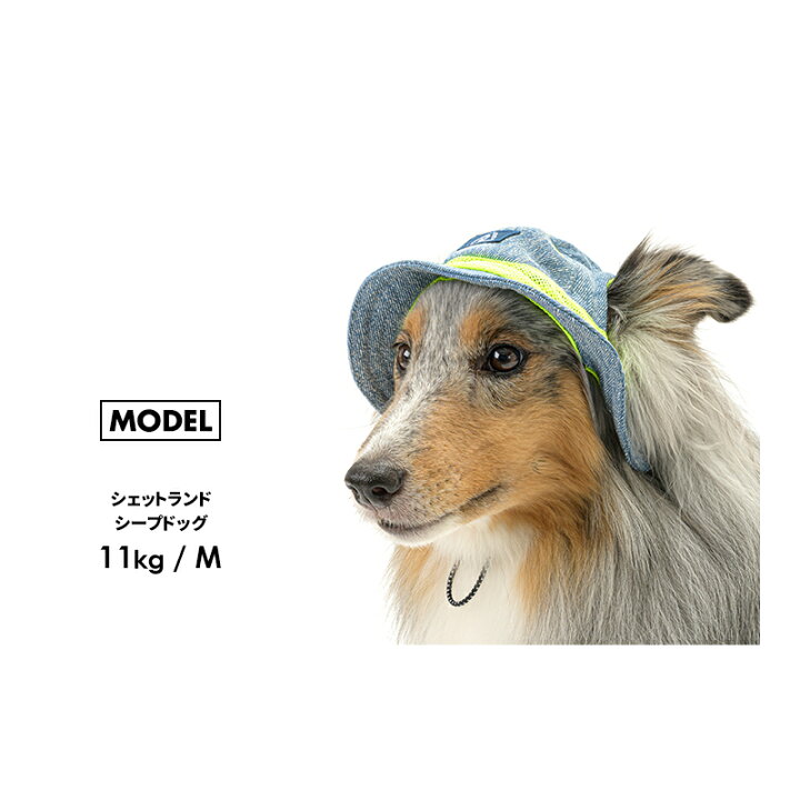 ケミカルデニムハットsm 被り物 チワワ プードル かぶりもの ダックス S 小型犬 猫 M 中型犬 アウトドア キャップ 春夏 犬 帽子