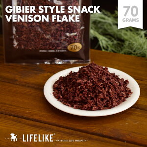 yt[N 70gz GIBIER STYLE p  Y i ӂ肩 Ic t[h g[c J  ^ g[jO ^ ^ ^