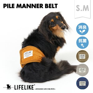 ypC}i[xgSz}i[xg }i[EFA gCpi ybgpi pi hbOEFA ^ ^ ybgObY ybg EFA Vv pCn LIFELIKEmԕisETC