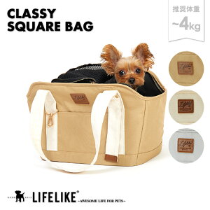 yNbV[XNGAobOzL[obO g[g g[gobO^L[ iC Jo  L ^ 4kg ybg ObY Vv   LIFELIKE