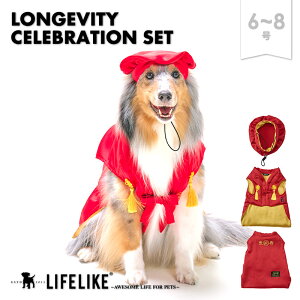 yҗjZbg6-8z  Vv ^ ^   ̕ ₦΍ ybg m ybgpi BemԕisETCYn