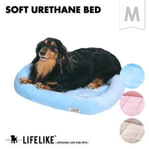 y\tgE^xbhMzxbh  L ybgp ᔽ E^ }V} Vv t  H ~ ps[ VjA Q[Wp } ^ ^ ybgxbh