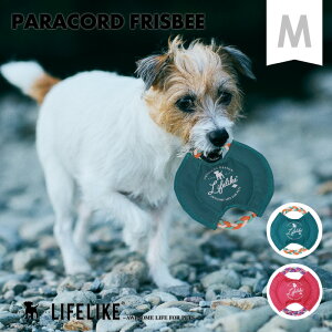 ypR[htXr[Mz tXr[ pR[h J   p  ^ U V v Jt 킢  hbO   ^ ^ ^ ^s