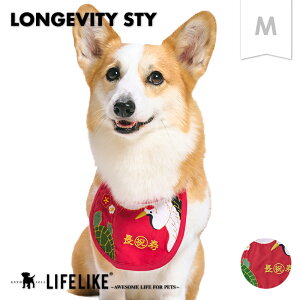 yҗX^CMz  L ܂ X^C Cxg ^ ^ O| Gv  킢 j ʐ^ Be LO җ mԕisETCYn