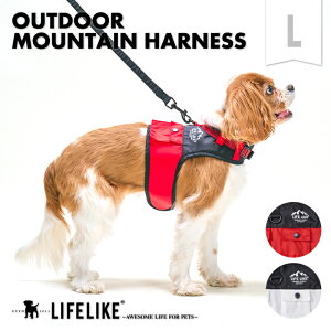 yOUTDOOR}Een[lXLzpn[lX [ht n[lX Ck  U n[lX[h ^ ^ AEghA  U Oo o s a@ LIFELIKE CtCN