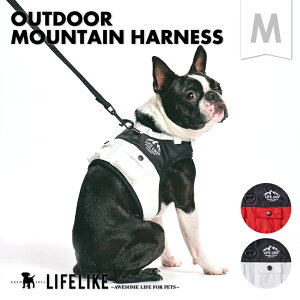 yOUTDOOR}Een[lXMzpn[lX [ht n[lX Ck  U n[lX[h ^ ^ AEghA  U Oo o s a@ LIFELIKE CtCN