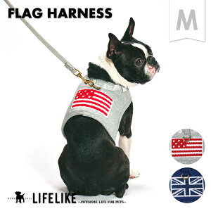 ytbOn[lXMz n[lX  [ht ^ ^ t t  H~ H ~ I[V[Y  AJ CMX U U Oo ł s a@ ̔h~Xgbp