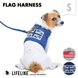 ytbOn[lXSz  n[lX  [ht ^ t t  H~ H ~ I[V[Y  AJ CMX U U Oo ł s a@ ̔h~Xgbp[t 