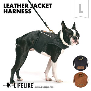 yU[WPbgn[lXLzpn[lX [ht n[lX Ck  U n[lX[h ^ ^ AEghA  U Oo o s a@ LIFELIKE CtC