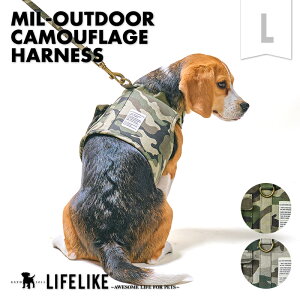 y~AEghAJtn[lXLz n[lX  [ht ^ t t  H~ H ~ I[V[Y Jt U U Oo ł s a@ ̔h~Xgbp[t 