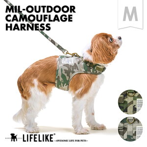 y~AEghAJtn[lXMz n[lX  [ht ^ ^ t t  H~ H ~ I[V[Y Jt U U Oo ł s a@ ̔h~Xgbp