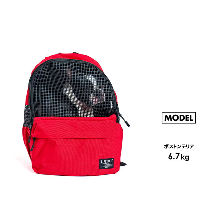 楽天市場】【デイパックキャリー】 犬用 キャリーバッグ ドッグ 