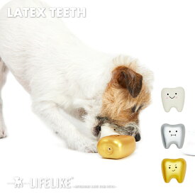 【ラテックスteeth】犬 グッズ おもちゃ 犬のおもちゃ 犬 ストレス解消 犬用 ドッグ ペット 玩具 噛む 小型犬 中型犬 ラテックス LIFELIKE