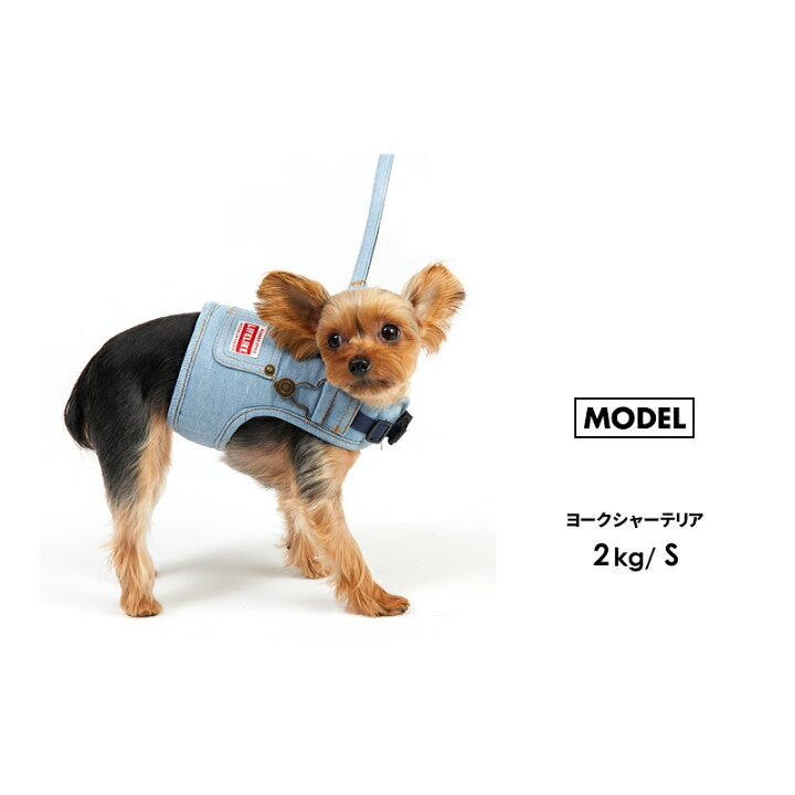 楽天市場】【デニムハーネスM】 デニムハーネス 犬 ハーネス リード付 