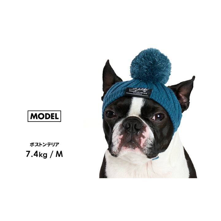 楽天市場】【ベーシックニット帽S】犬 帽子 ライフライク LIFELIKE 