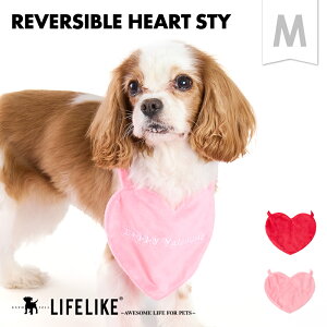 yo[Vun[gX^CMz L ܂ X^C Cxg ps[ q O| Gv 킢 j o^C n[g p hbO ybg  ^ ^  