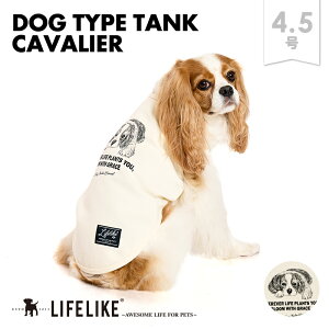 yhbO^Cv^NCAVALIERzhbOEFA ^N ^ ^   t  H ~ ʔN  LoA CXg Vv  ̕ ybg  ybg m ybgpi LIFELIKE