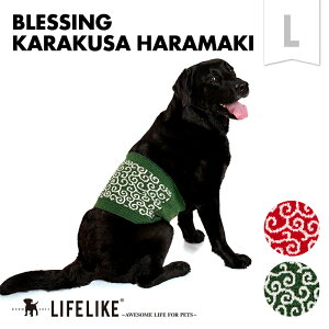 y͂܂Lz  H ~ CtCN ͂܂ ^  [΍ ₦΍  a _} ʂ    ̕   LIFELIKEmԕisETCYn