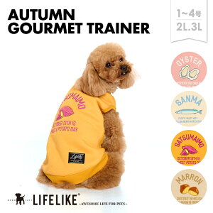 yI[^Og[i[1-42L-3Lz  H ~ Hו  JL ܂ } g[i[ ^ ps[ ` gCv[ _bNX O  hbOEFA ̕ ybg 