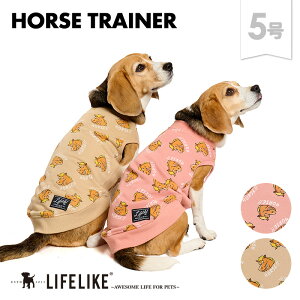 yz[Xg[i[5z  H ~ x n  E} Be ʐ^ N  Cxg g[i[ ^ R[M[ r[O  hbOEFA ̕ ybg m ybgpi U 