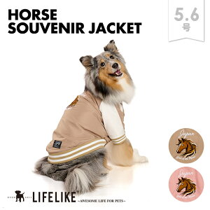 yz[XXJW5-6z  x n  E} Be ʐ^ N  Cxg XJW ^ tu  hbOEFA ̕ ybg m ybgpi іh~ U 