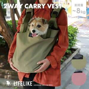 y2WAYL[xXgz ybgXO XO pXO L[  R ybg h ^ ybg  obO hbOXO  hД g[g L[obO L[P