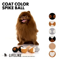 ＼10％OFFクーポン／【コートカラースパイクボール】 犬用おもちゃ 音が鳴る ボール ぬいぐるみ 玩具 投…