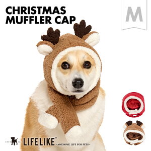 yNX}X}t[LbvMz L }t[ Xq Ԃ Cxg ps[ q 킢 j NX}X T^ giJC p hbO ybg  ^ ^  