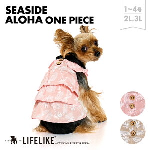 yV[TChAns1-42L-3LzhbOEFA s[X tt ӂӂ ^ ^   t  t An s JtF  킢  ̕ ybg  ybg