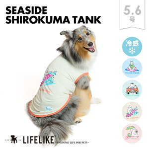 yV[TChVN}^N5-6zhbOEFA ^N ^ ^   t  t N} 낭 IWi vg }X|[c C  킢  ̕ ybg