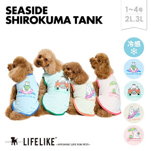 yV[TChVN}^N1-42L-3LzhbOEFA ^N ^ ^   t  t N} 낭 IWi vg }X|[c C  킢  ̕ yb