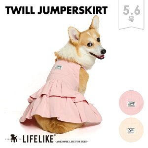 ycCWp[XJ[g5-6zhbOEFA ^   t  t Wp[XJ[g WXJ AEghA Lv 킢  ̕ ybg  ybg ObY m 