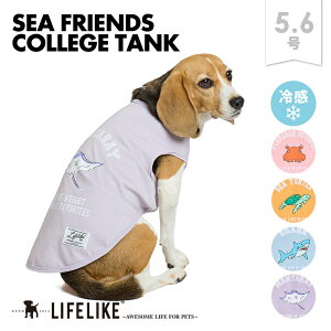 yV[tYJbW^N5-6zhbOEFA ^N ^   t  t   IWi vg C  킢  ̕ ybg  ybg ObY m y