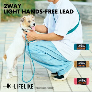 y2WAYCgnYt[[hz [h ^   ̕ V_[[h @\ p U nYt[ ΂ߊ| V_[ 肪g jO WMO  